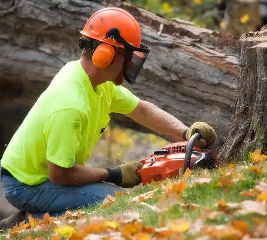 tree services North Massapequa